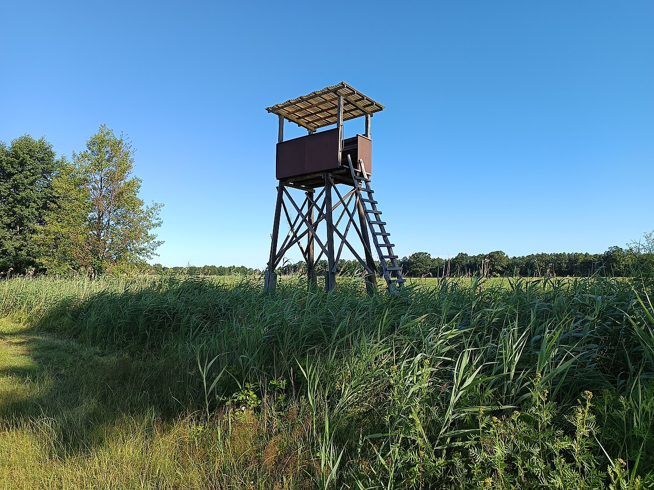 Aussichtsturm Kockrowsberg, Lübben, Zemský okres Dahme-Sprévský les, spolková země Braniborsko, Německo