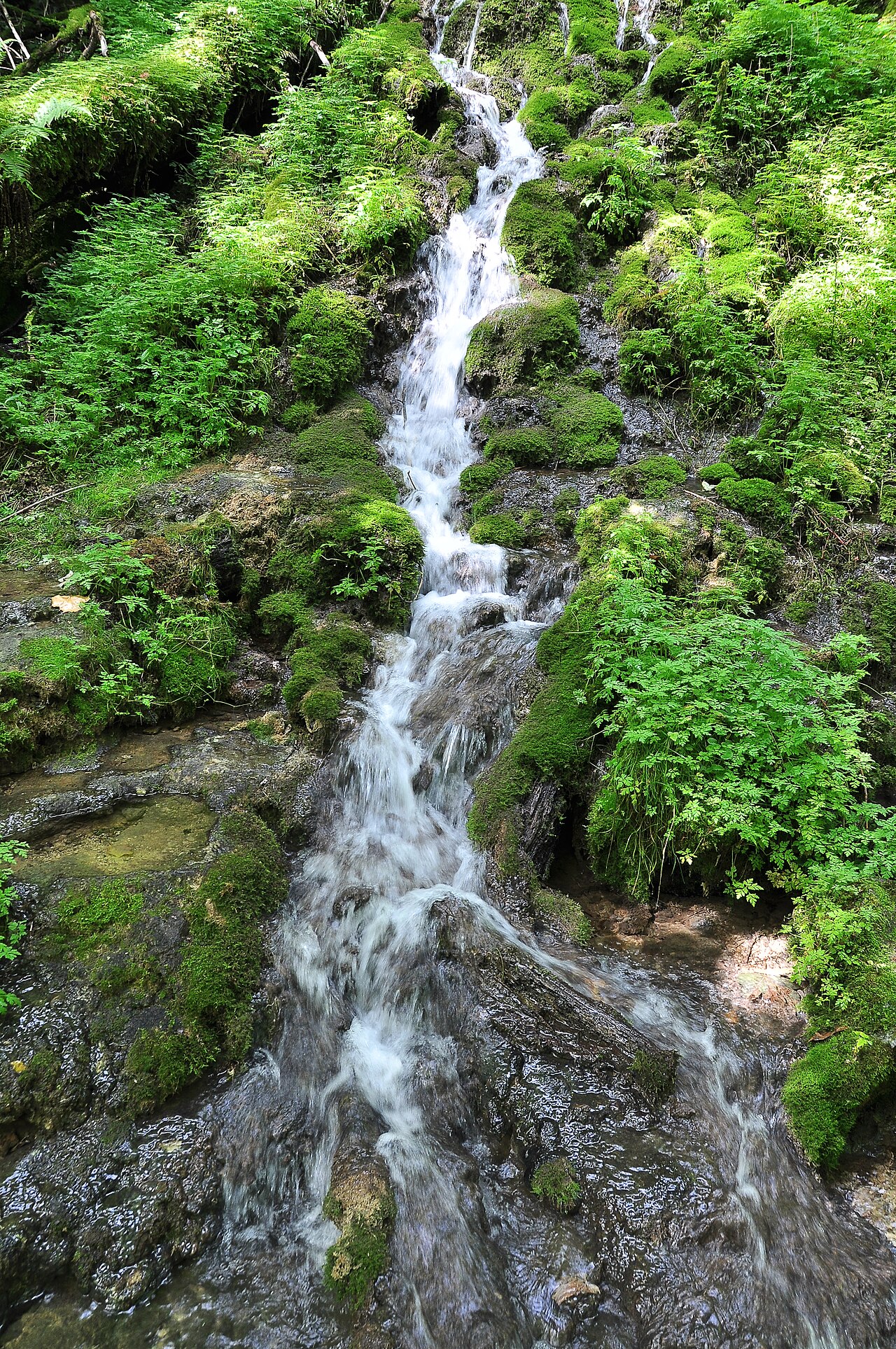 Naturschutzgebiet 1