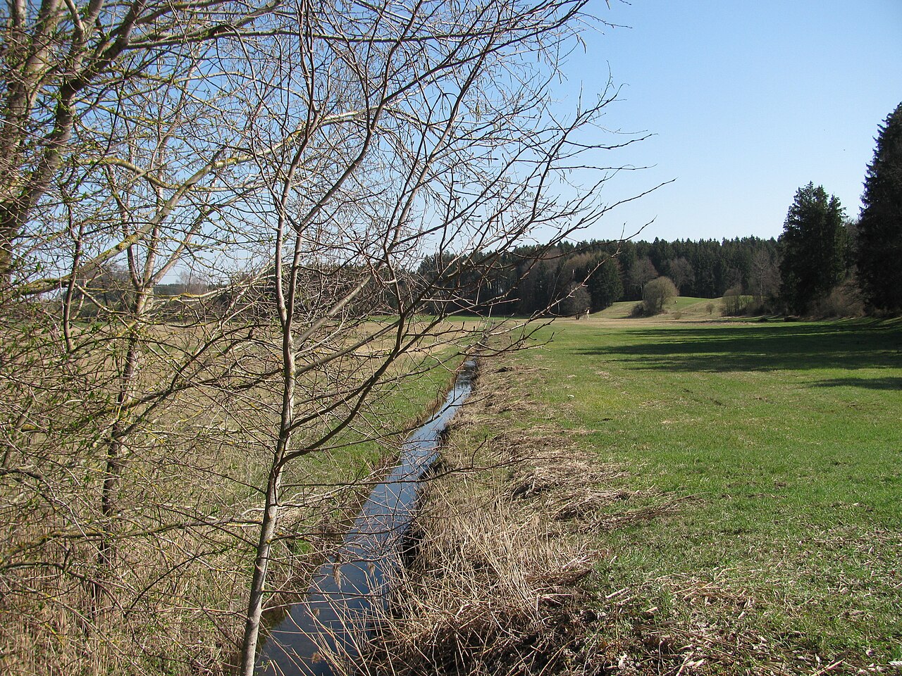 Germany - Baden-Württemberg - Bodenseekreis/district Ravensburg - Neukirch/Bodnegg: nature reserve 'Auweiher'