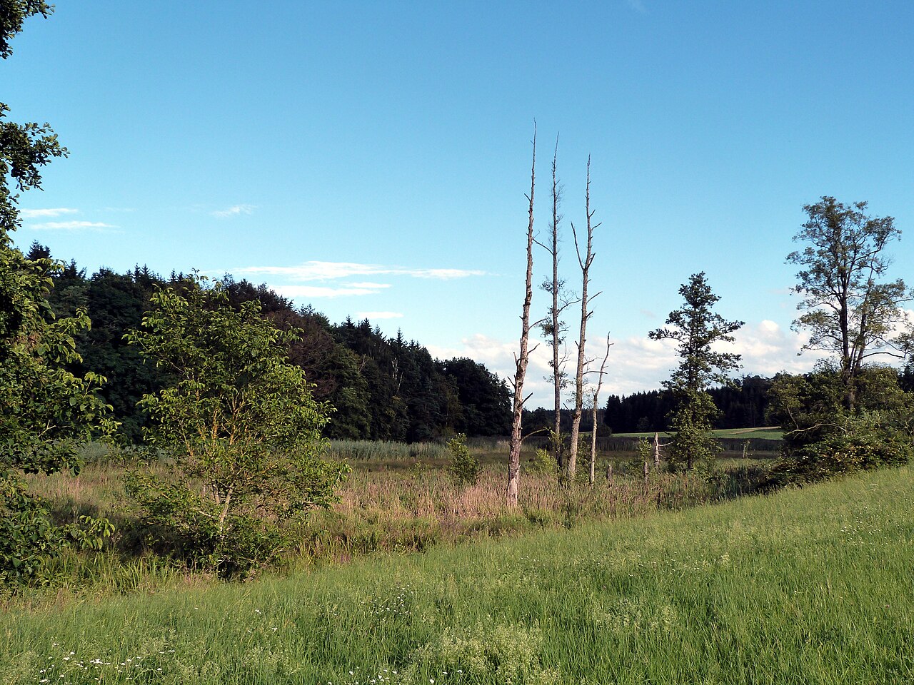 Naturschutzgebiet Auweiher, zwischen Gerhof und Wört, Ostalbkreis, Baden-Württemberg