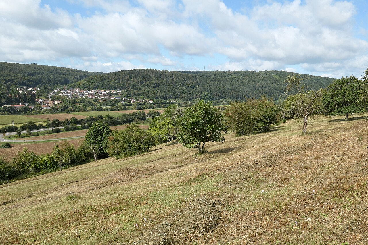 Naturschutzgebiet Auweinberge-Fuchsenloch (Mosbach, Neckar-Odenwald-Kreis, Baden-Württemberg, Deutschland)