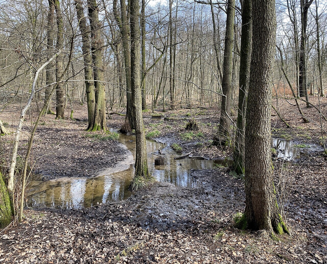 Naturschutzgebiet Bachaue des Bürgerbuschbaches