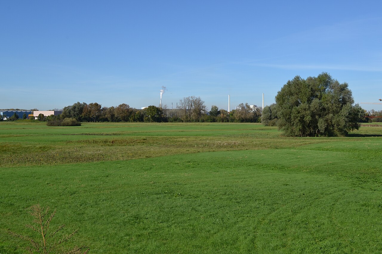 Naturschutzgebiet Backofen-Riedwiesen
