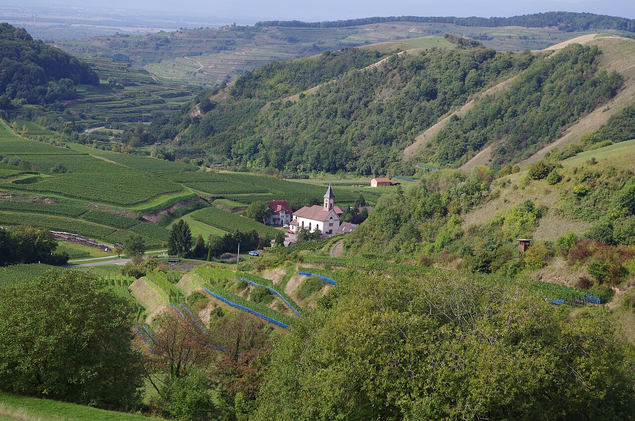 The "Badberg" in the foreground the village Altvogtsburg