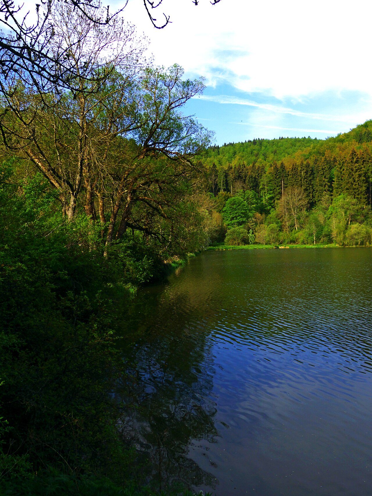 Stausee Möhringen