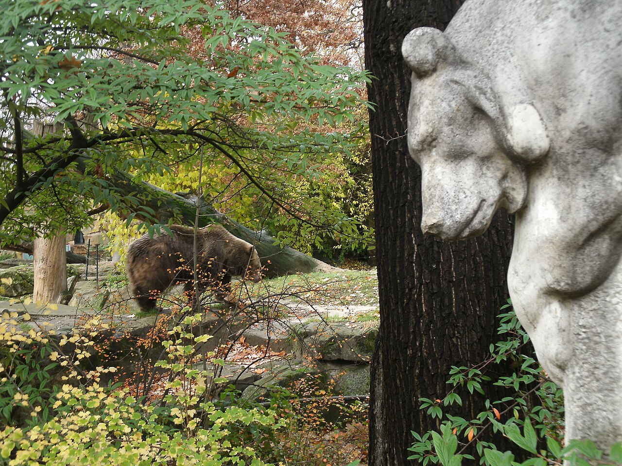 "Kragenbär" von Ernst Freese - aufgestellt 1915