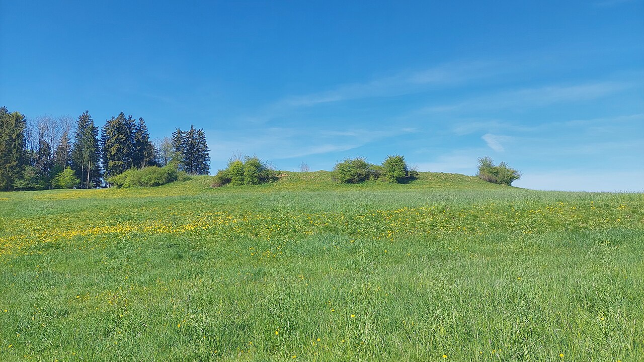 Bärenbühl in the municipality of Isny im Allgäu, view from northeast