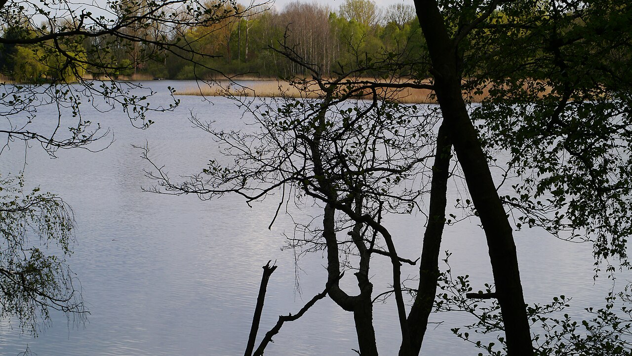 NSG Bagower Bruch (CDDA 162328) Lake