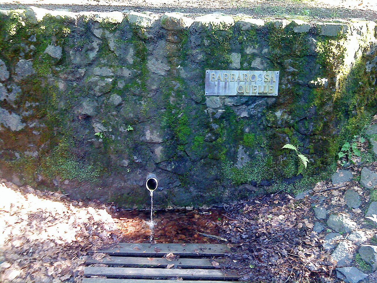 Die Barbarossaquelle im Bulau bei Hanau