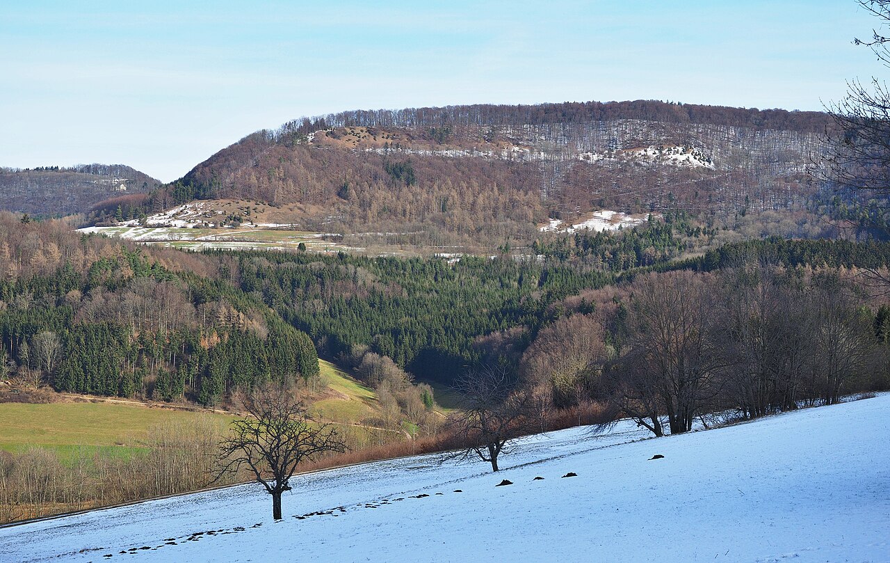 "Bargauer Horn" hill (elev