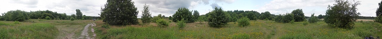 Barger Heide [Stade 2007/07] Die Barger Heide ist ein Landschaftsschutzgebiet im Süden von Stade