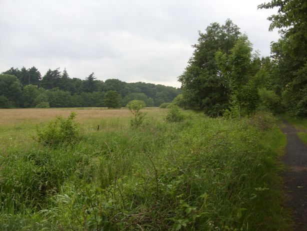 Naturschutzgebiet „Barneführer Holz und Schreensmoor“