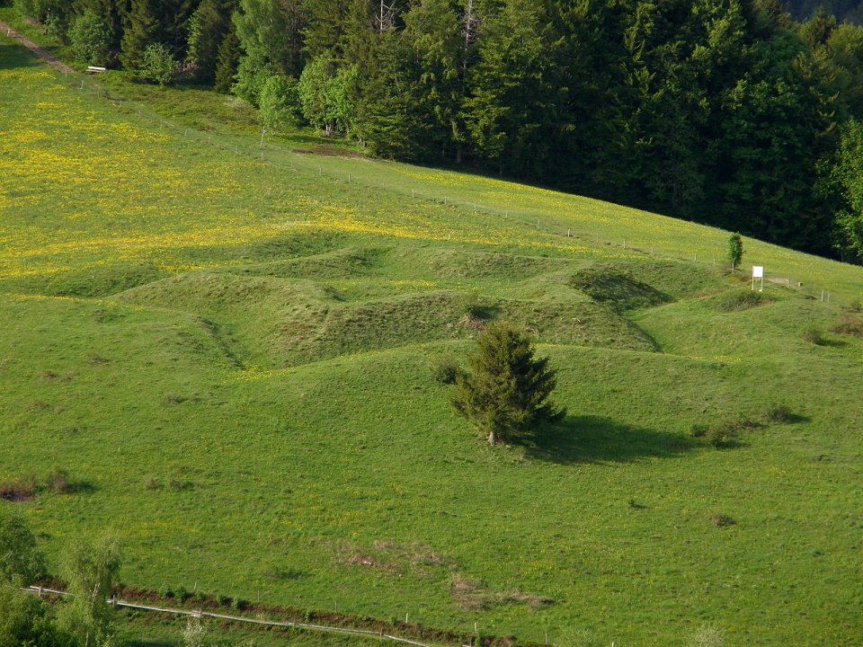 Sternschanze am „Böllener Eck“ bei Neuenweg