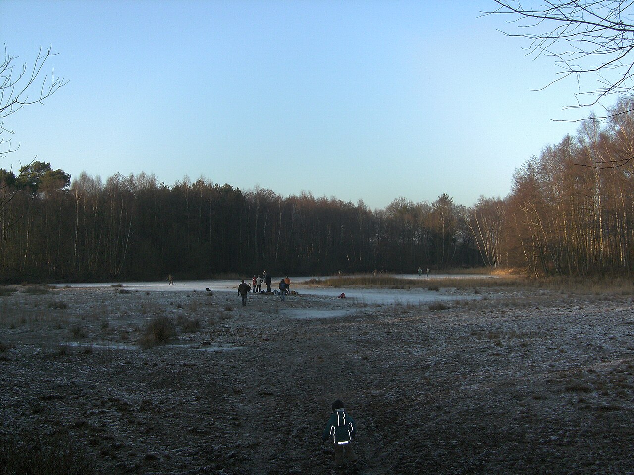 Halle (Westf) - Nature reserve Barrelpäule in winter