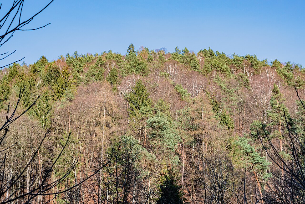 View on the Bartenberg from the Dudweilerstraße in Scheidt