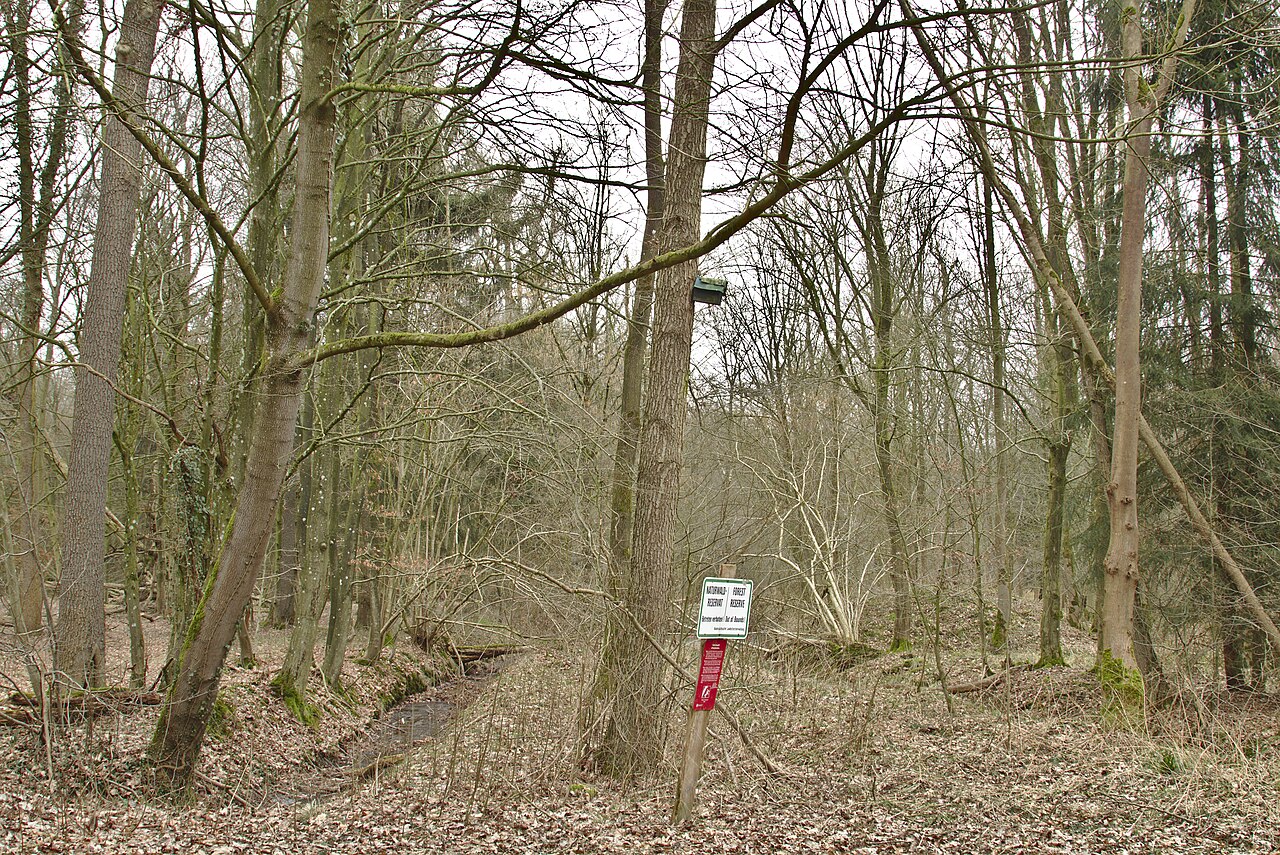 Foto von Bassumer Friedeholz