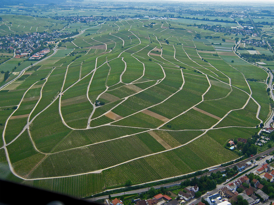 Batzenberg bei Freiburg