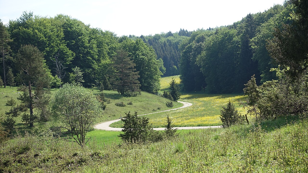 Hohenstein - Naturschutzgebiet Bauenofen