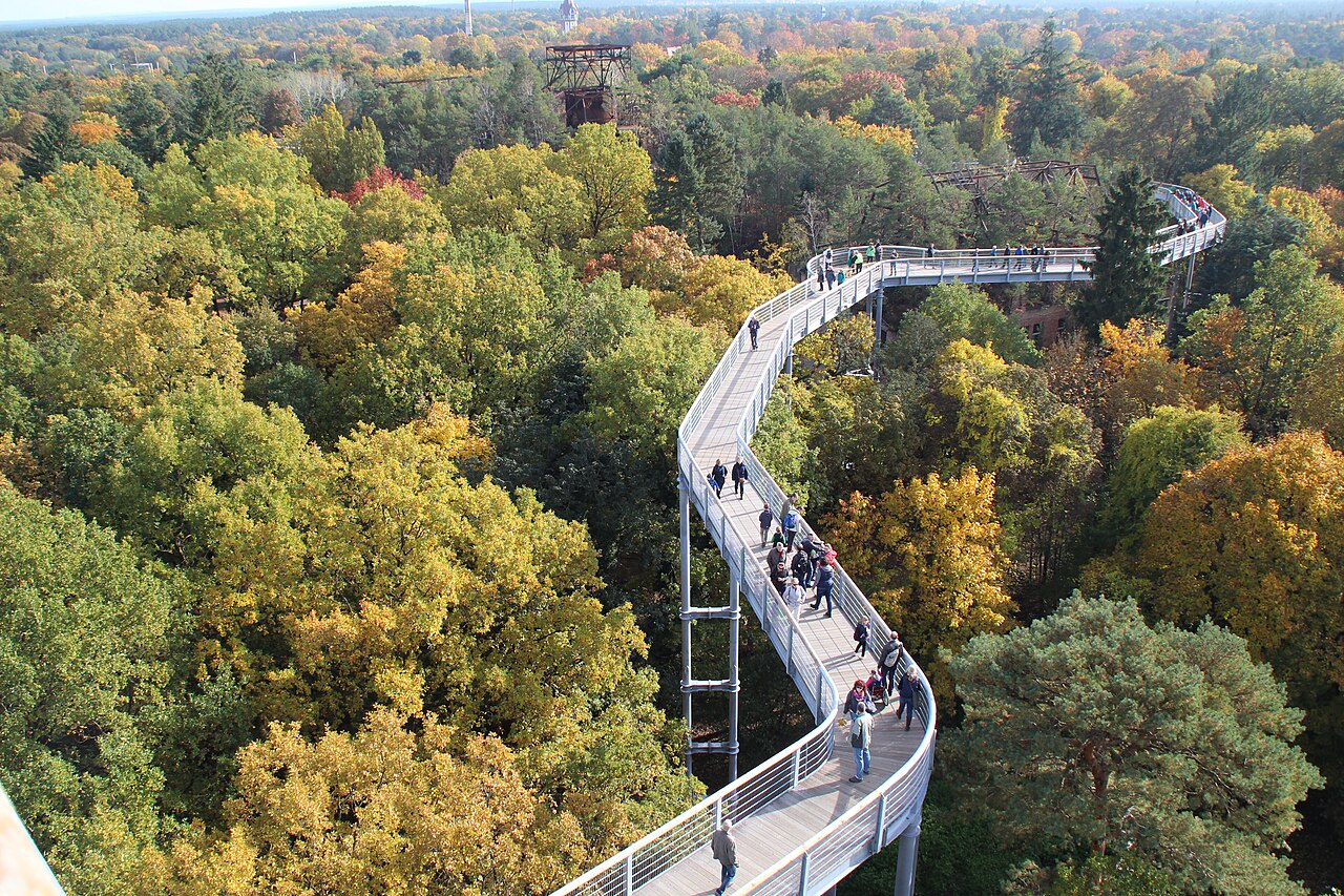 Baumkronenpfad Beelitz Heilstätten