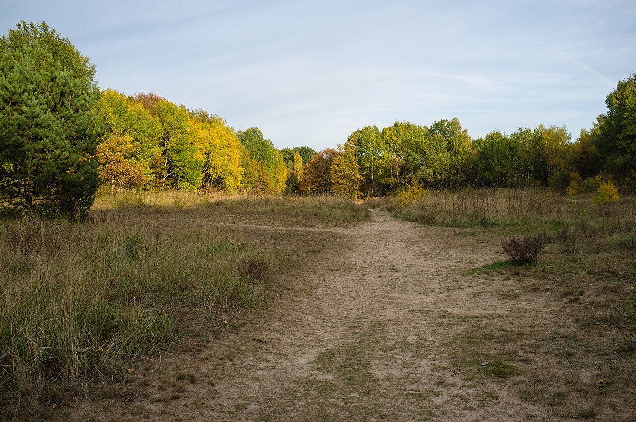 Baumberge (Berlin)