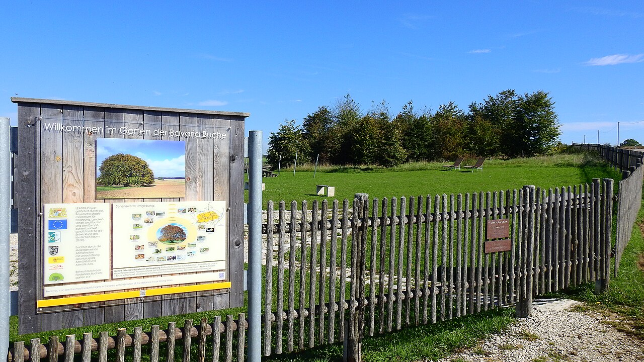 Eingang zum Garten der Bavaria-Buche