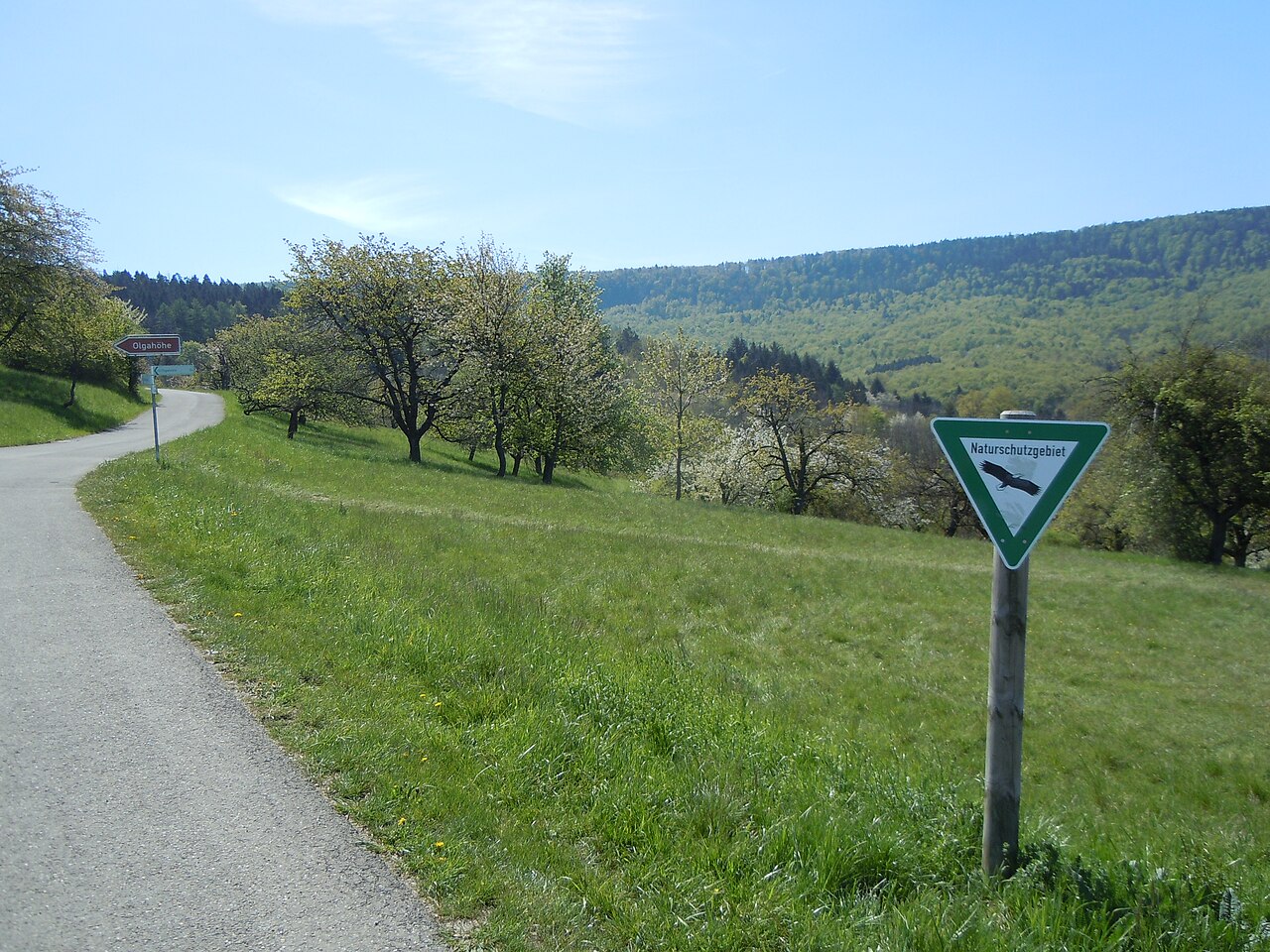 Streuobstwiese bei der Olgahöhe