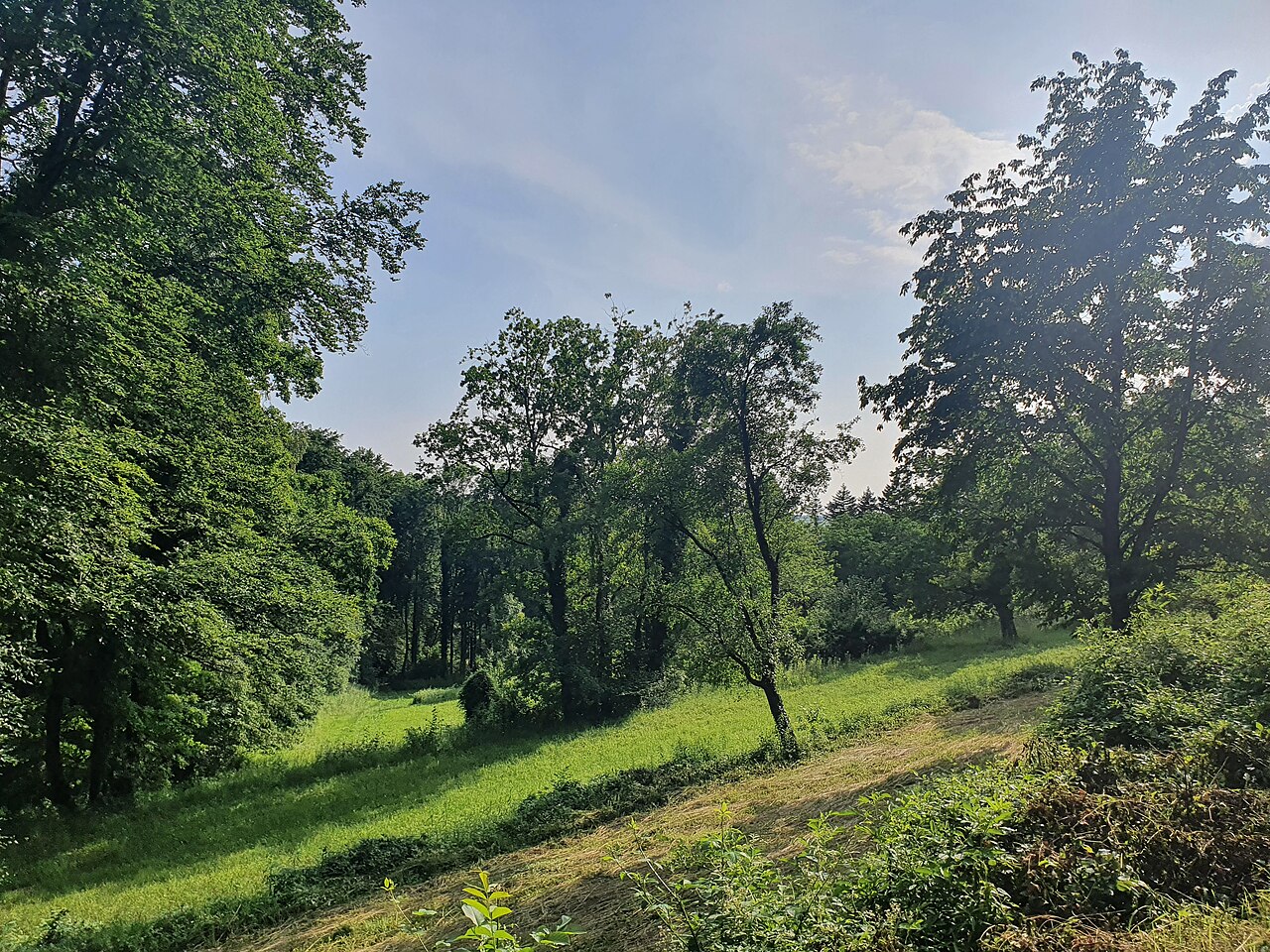 Foto von Beim Reutwald
