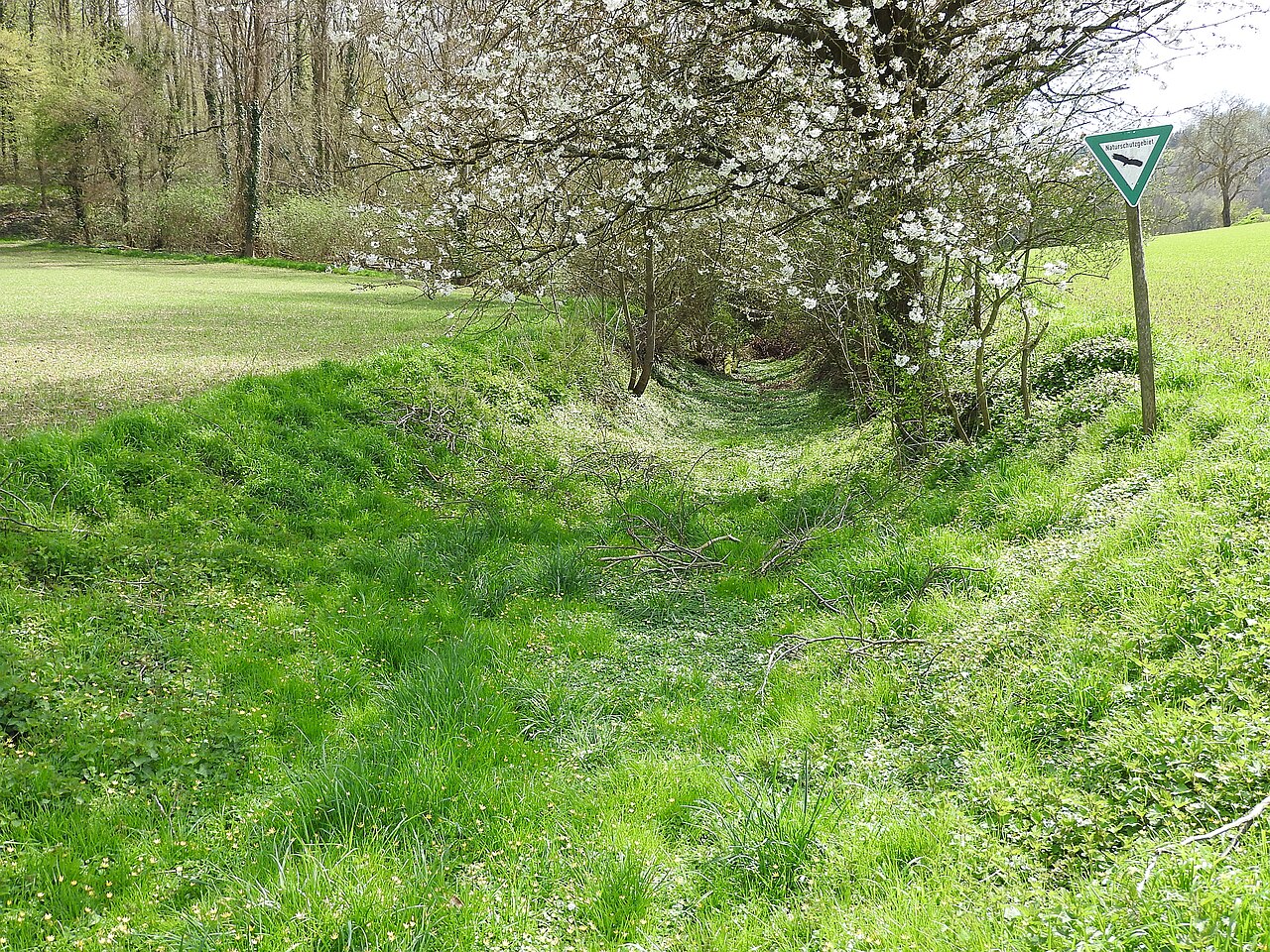 Naturschutzgebiet Beim Roten Kreuz, 12