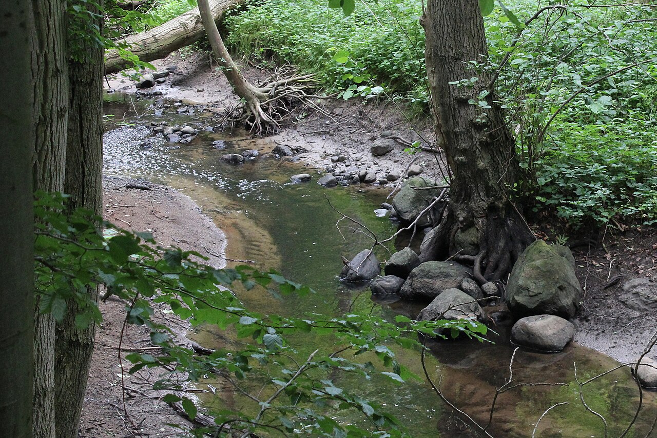 Naturschutzgebiet Beketal (N 302) im Landkreis Rostock (Mecklenburg-Vorpommern)
