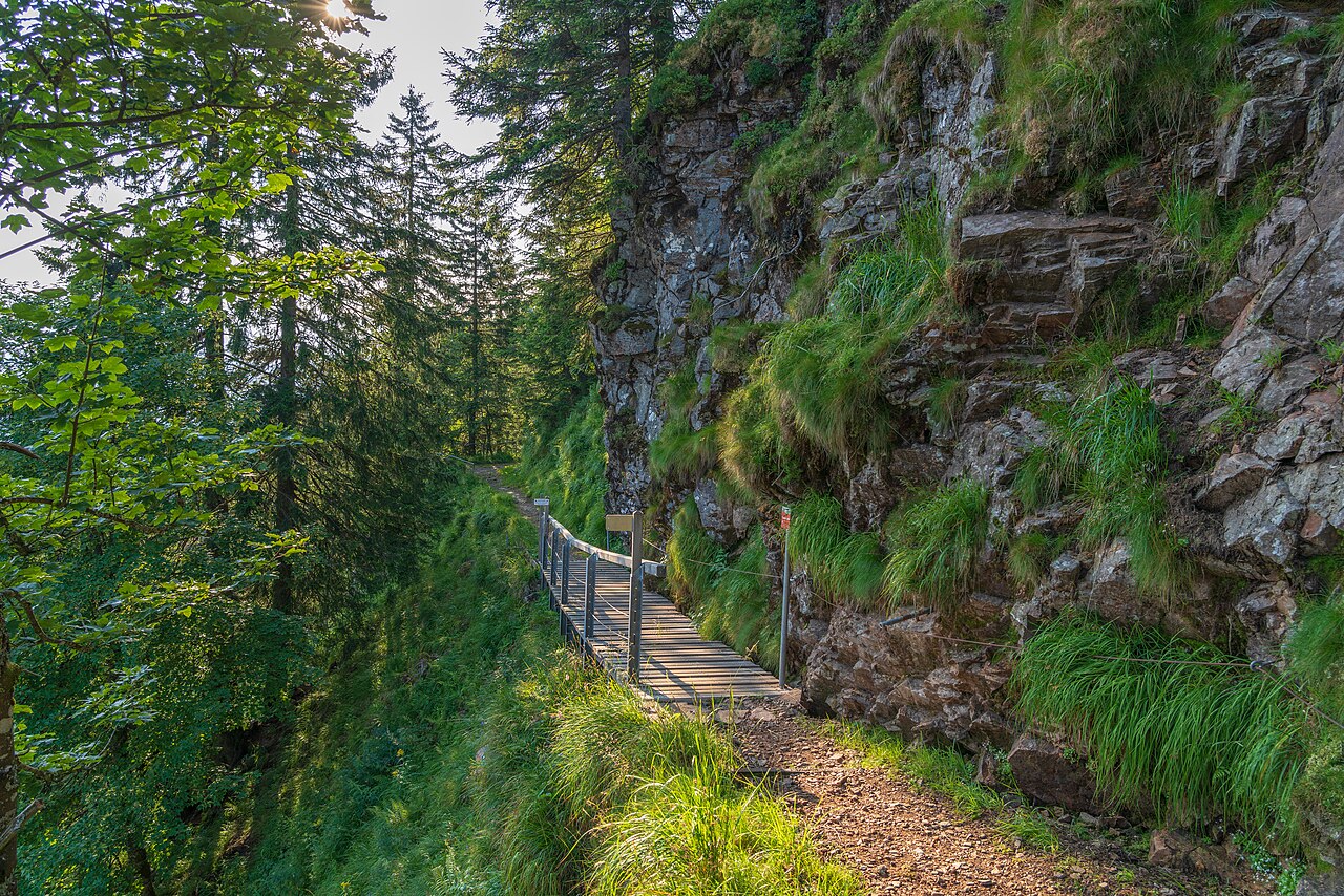 Im Naturschutzgebiet Belchen, auf dem Alpinen Bergpfad am Belchen