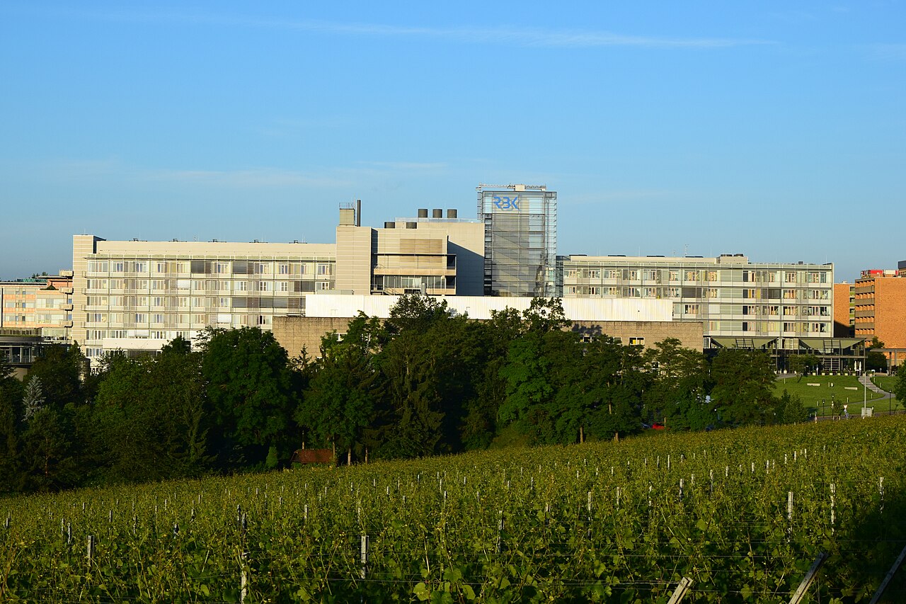 Robert-Bosch-Krankenhaus im Stadtteil Burgholzhof des Stadtbezirks Bad Cannstatt in Stuttgart