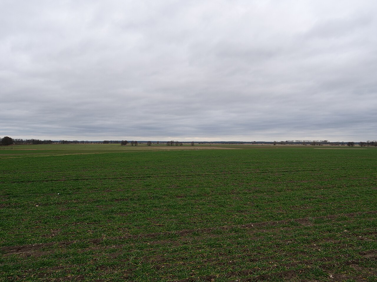 View on the Belziger Landschaftswiesen from compost works Baitz