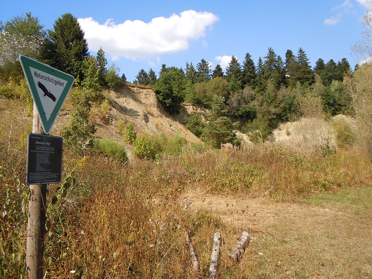 Naturschutzgebiet Benzinger Berg mit Grubenwänden