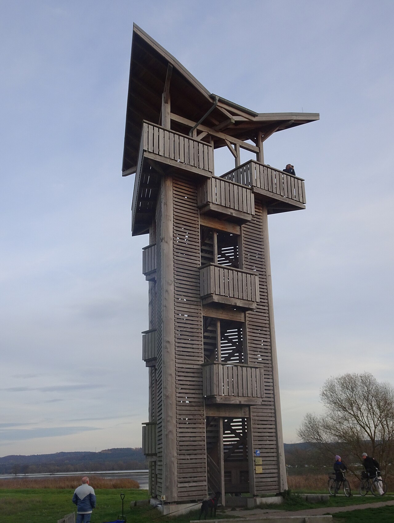 Beobachtungsturm Stützkow, an der Oder im Nationalpark