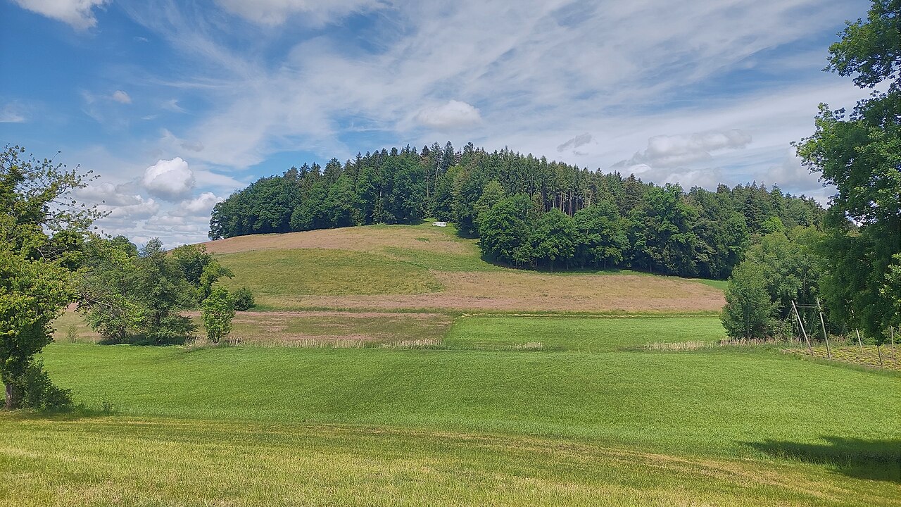 hill Berg in the municipality of Tettnang, view from southeast