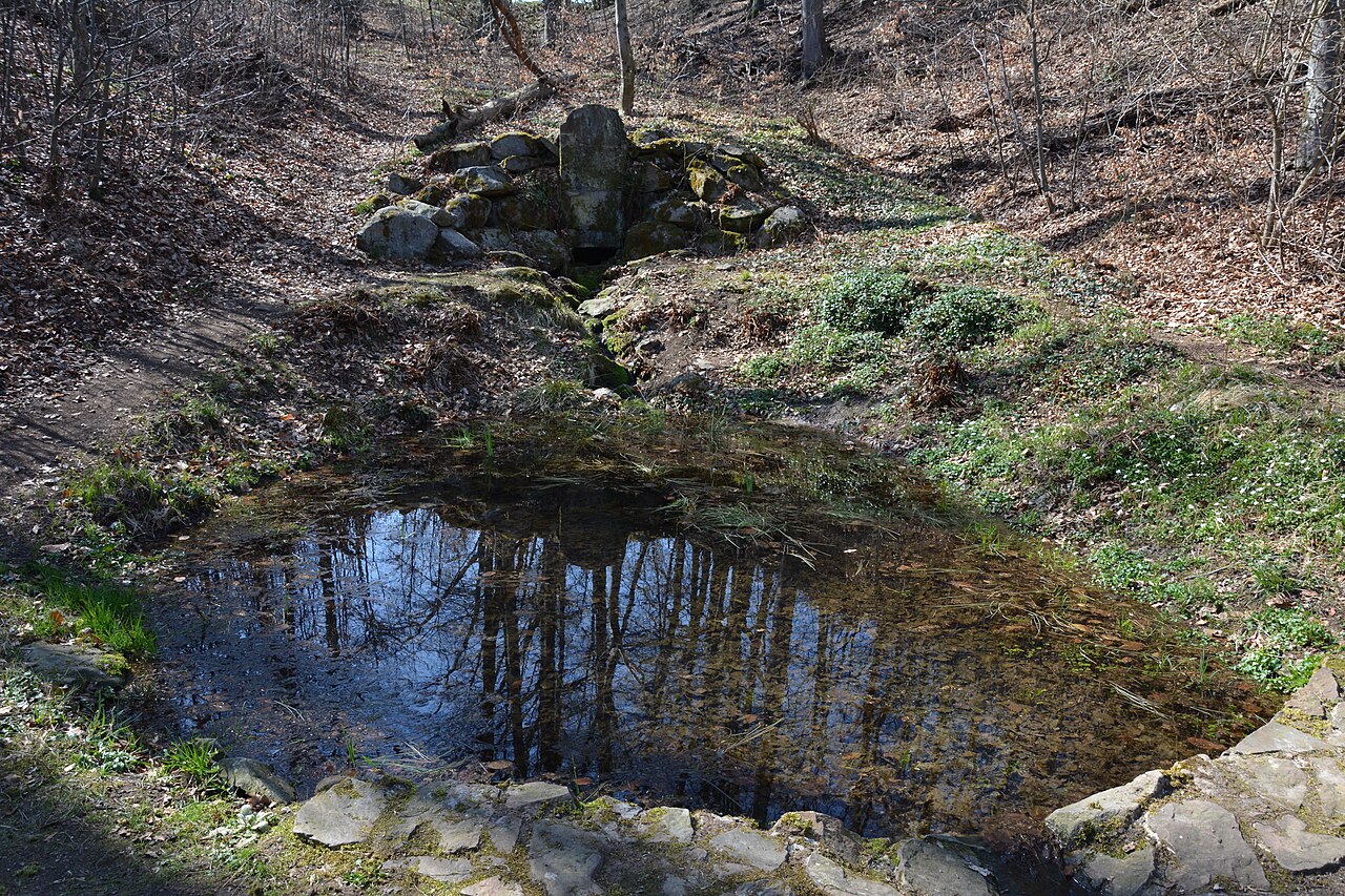 Bergquelle im Seifersdorfer Tal bei Dresden