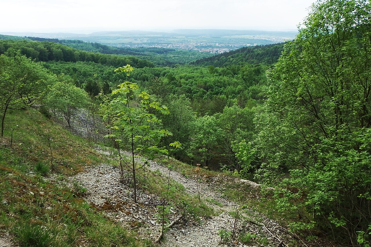 Lower slope of Mössingen landslide