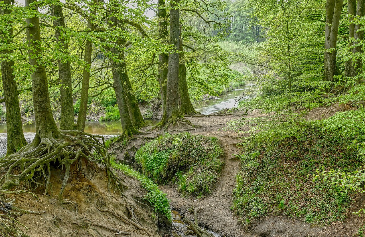 Foto von Berkelaue II