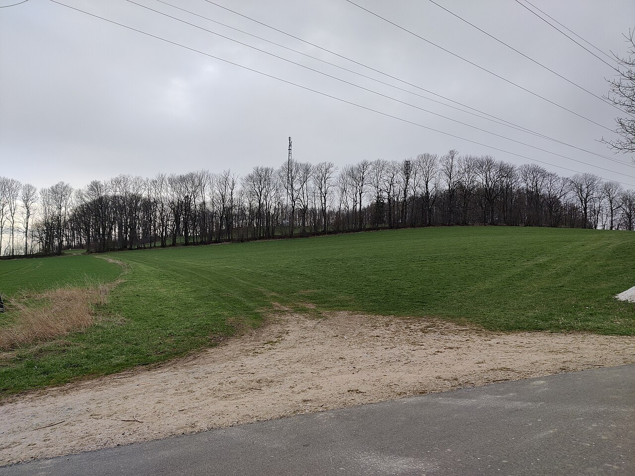 Bernhardshöhe (hill in Germany)