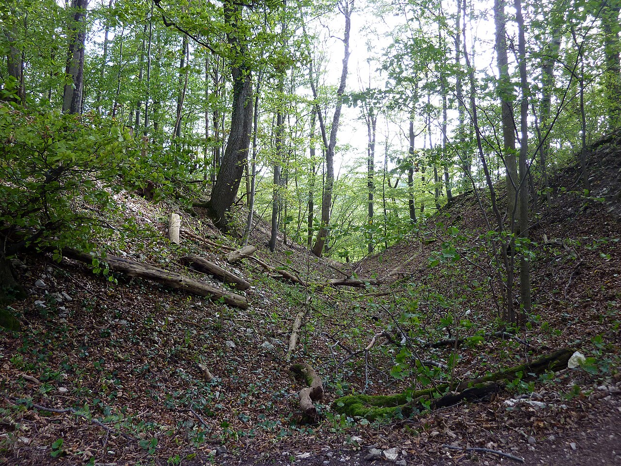 Bertaburg auf dem Kornberg oberhalb von Bad Boll