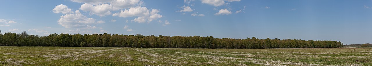 Naturschutzgebiet Nummer 20 im Kreis Mecklenburgische Seenplatte: Beseritzer Torfwiesen (südlicher Teil)