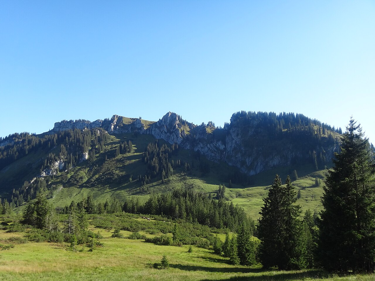 Beslergruppe 16