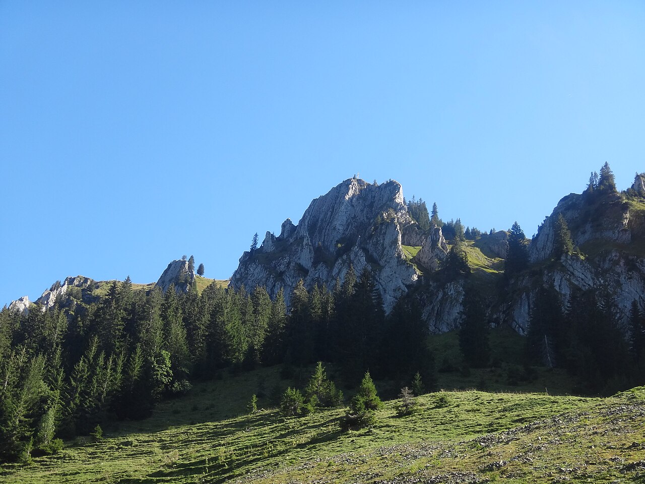 Beslerkopf 16