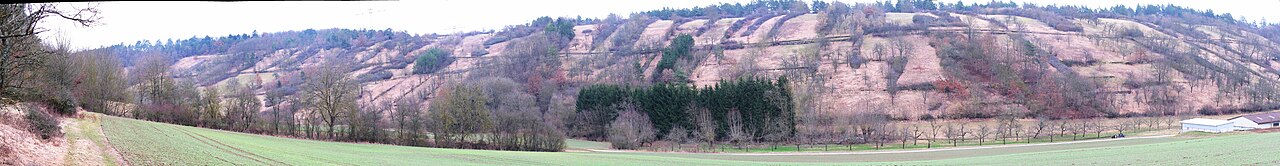 Besselbergweinberge (Naturschutzgebiet 1