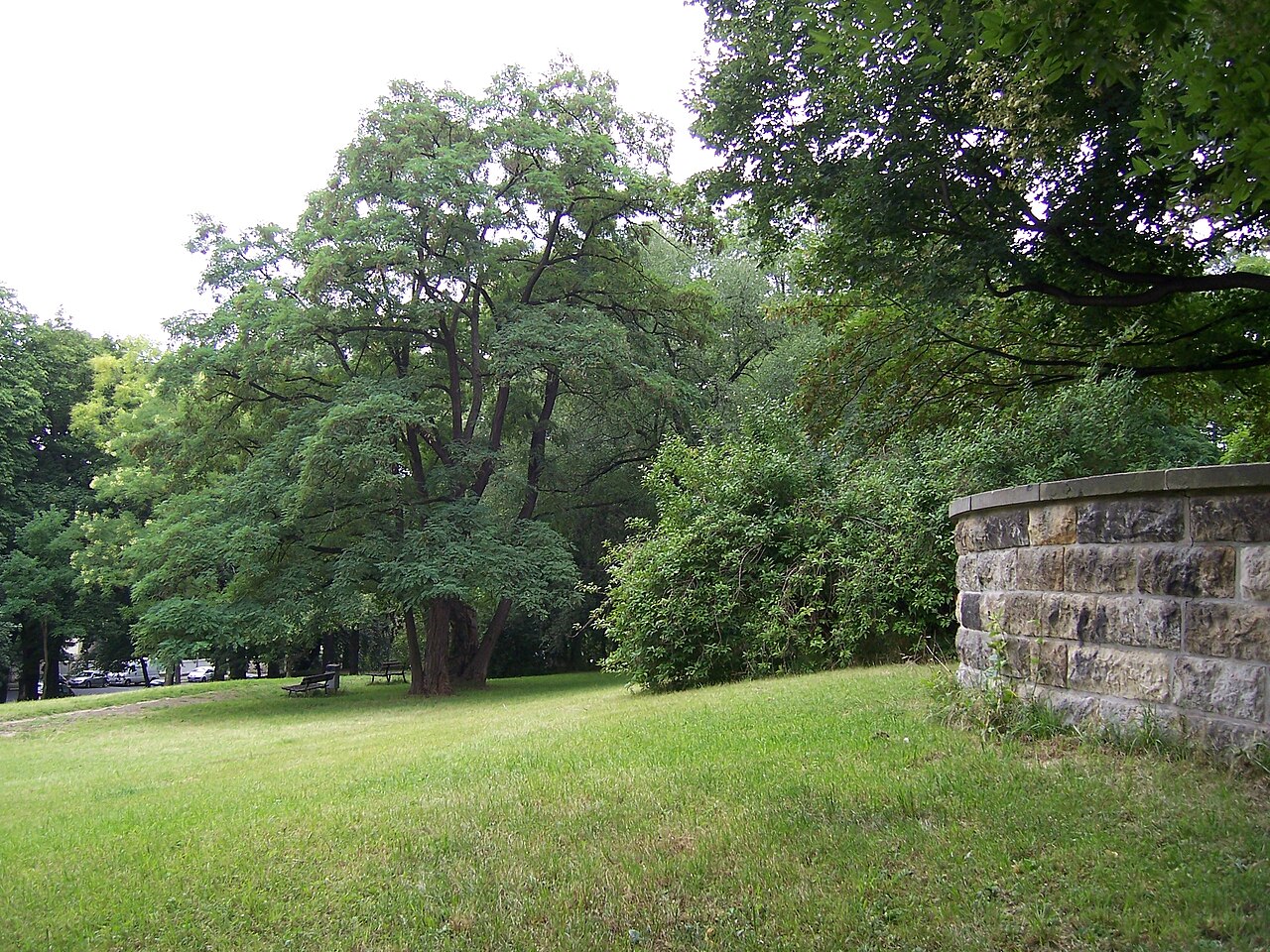 Beutlerpark in Dresden, Blick in nördlicher Richtung über den westlichen Teil des denkmalgeschützten Parks