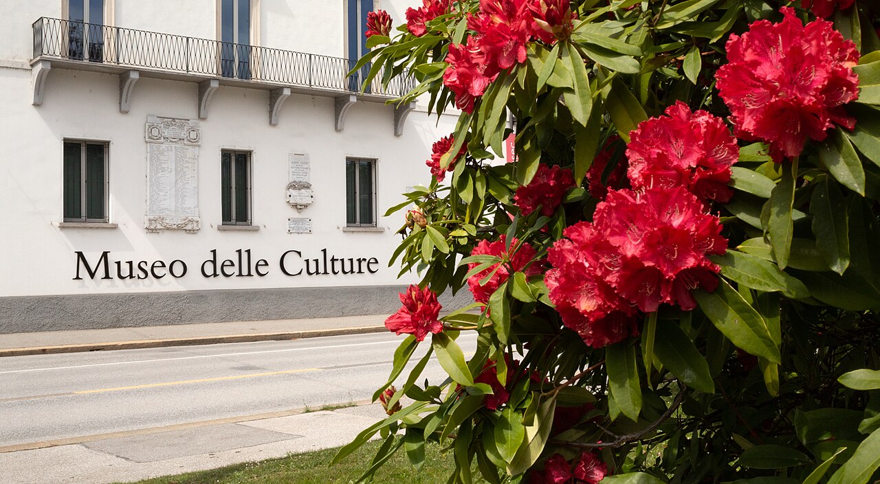 MUSEC - Museo delle Culture