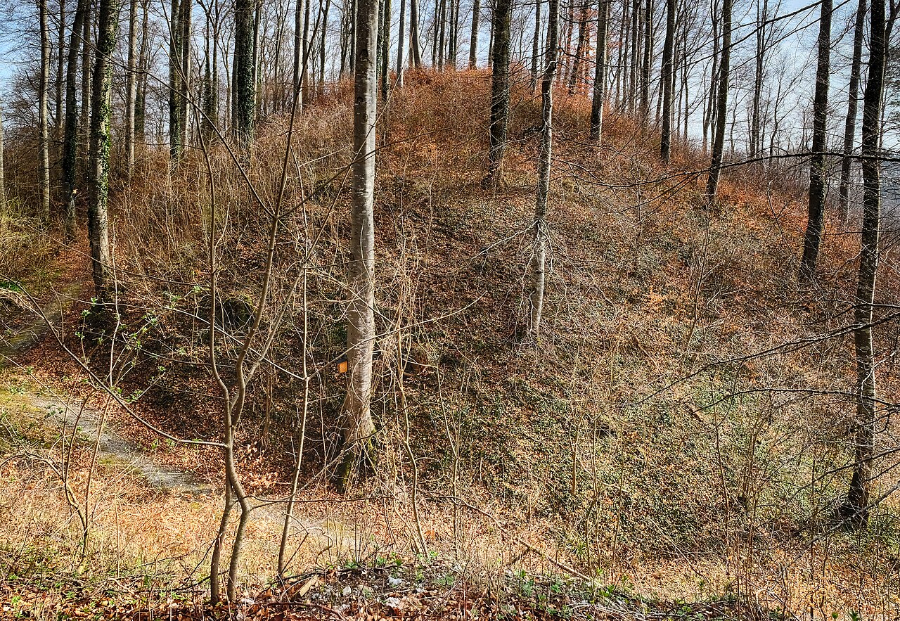 Demolished castle Biegenburg , Blitzenreute, district Ravensburg, Baden-Württemberg, Germany