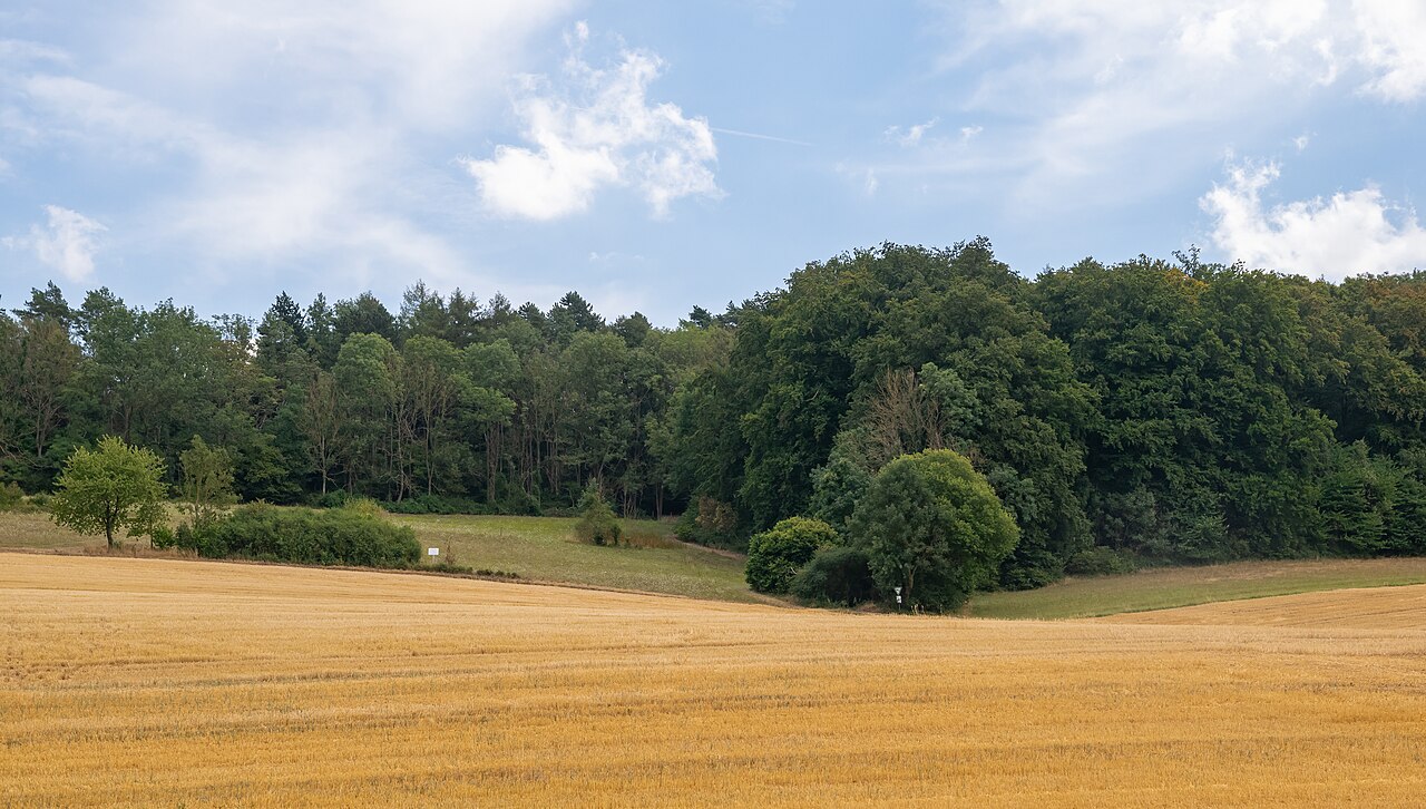 Naturschutzgebiet Bielenberg bei Höxter