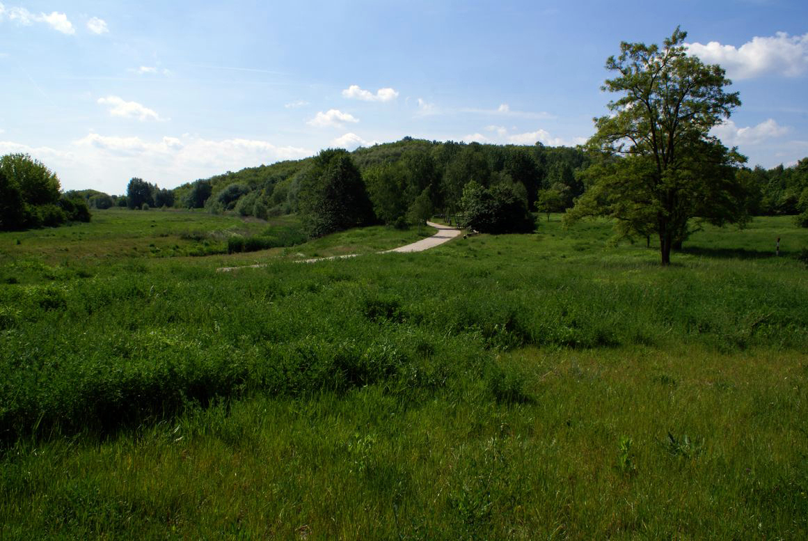 Foto von Biesdorfer Höhe