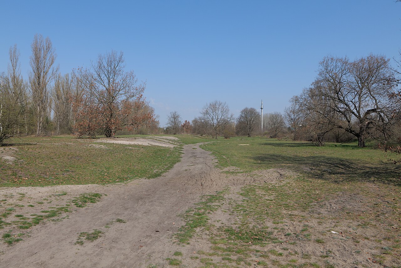Biesenhorster Sand im Naturschutzgebiet Biesenhorster Sand am 20